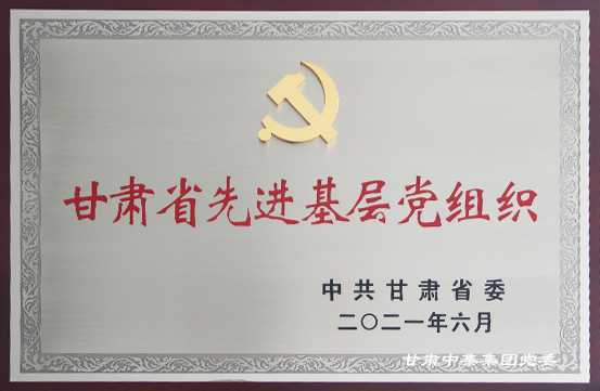 建黨100周年之際甘肅中集理想國際寫字樓聯(lián)合黨支部喜獲殊榮