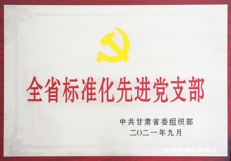 中集理想國際寫字樓聯(lián)合黨支部榮獲“全省標(biāo)準(zhǔn)化先進(jìn)黨支部”榮譽(yù)稱號